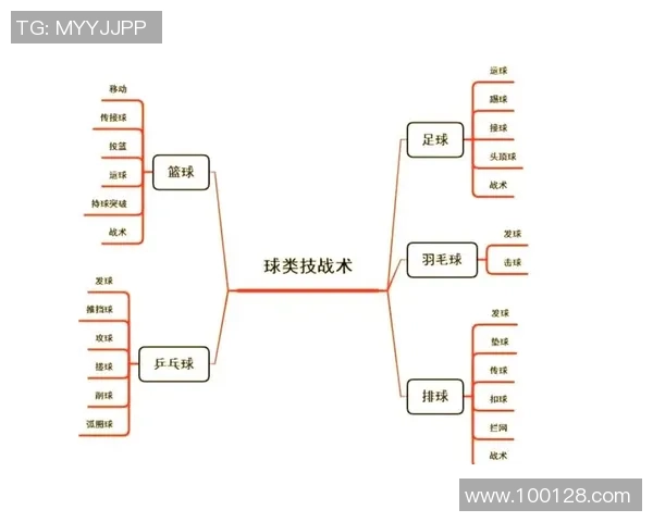北京排球队战术解析与未来发展方向探讨
