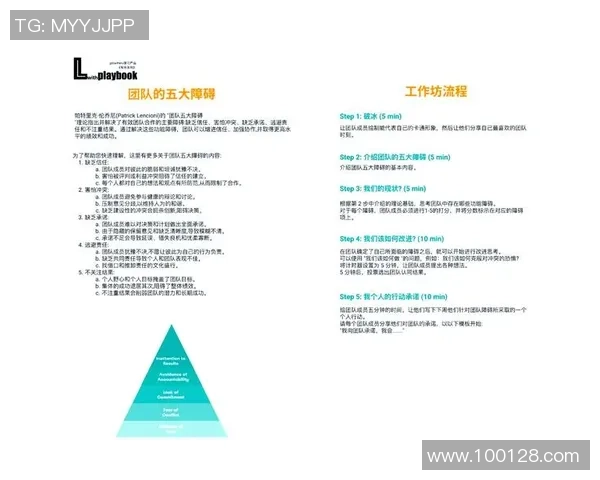 北京羽毛球队团队协作的成功秘诀与挑战分析
