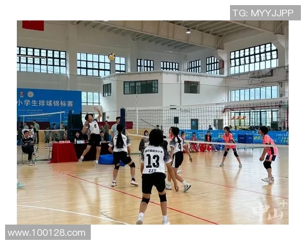 武汉排球队战术解析：聚焦排球竞技中的策略与团队协作