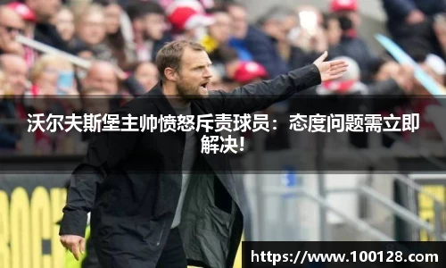 芒果体育官网入口
