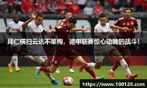 芒果体育官网入口